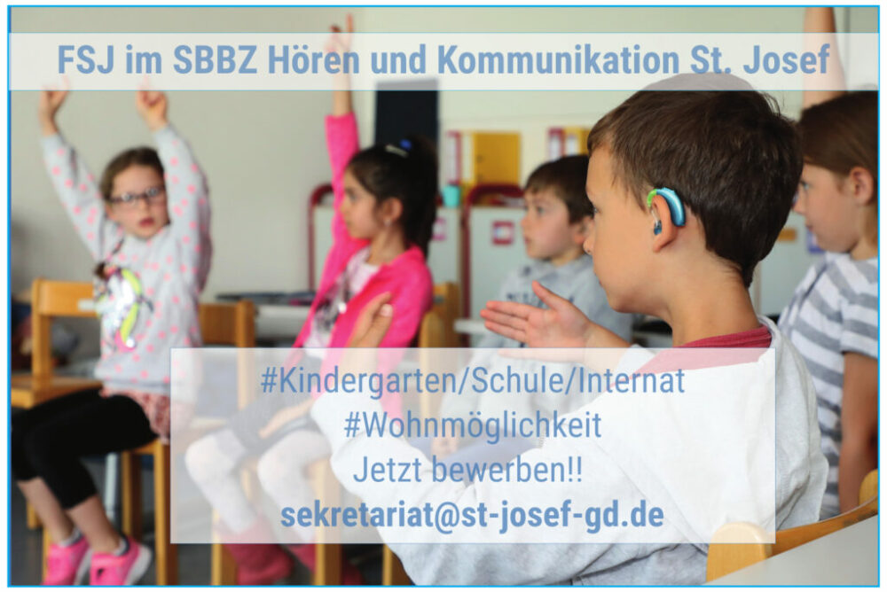 FSJ_Werbung2025